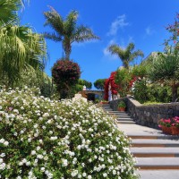 Hotel Terme San Nicola