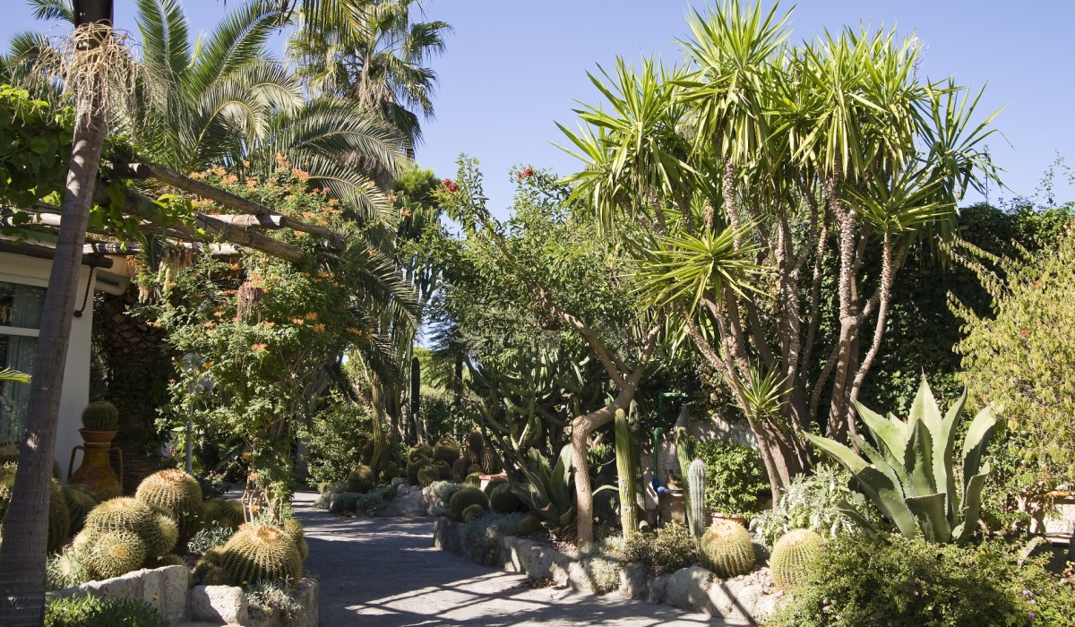 Park Hotel Terme Mediterraneo