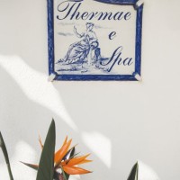 Hotel Terme Central Park