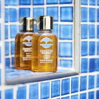 Hotel Terme Central Park