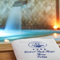 Hotel Terme Central Park