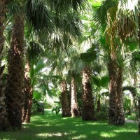 Park Hotel La Villa Resort garden