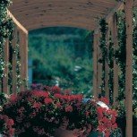 Grand Hotel Terme di Augusto