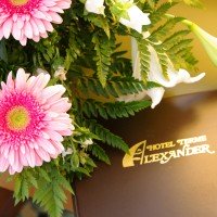 Hotel Terme Alexander