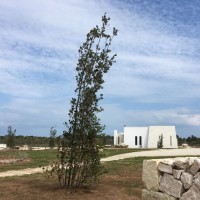 Relais Masseria Le Cesine