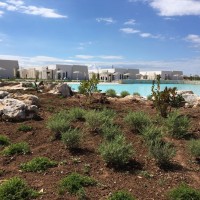 Relais Masseria Le Cesine