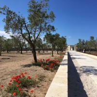 Relais Masseria Le Cesine