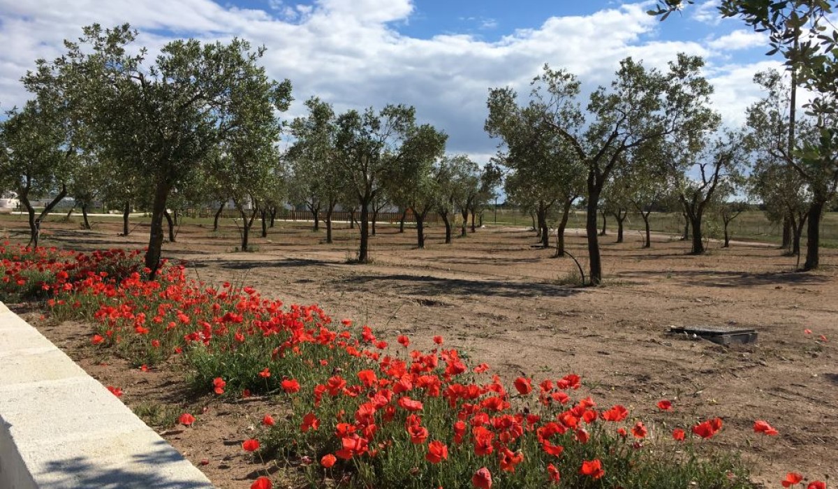 Relais Masseria Le Cesine
