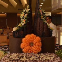 Riva Marina Resort