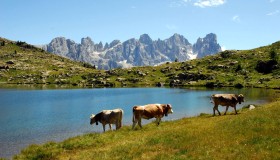 Valle di Primiero