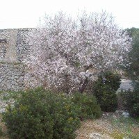 Residence Miramare
