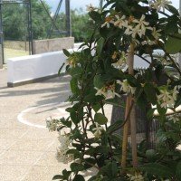 Residence Miramare
