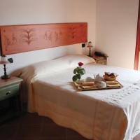 Hotel Club Le Rose