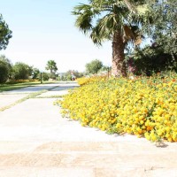 Hotel Club La Giurlita