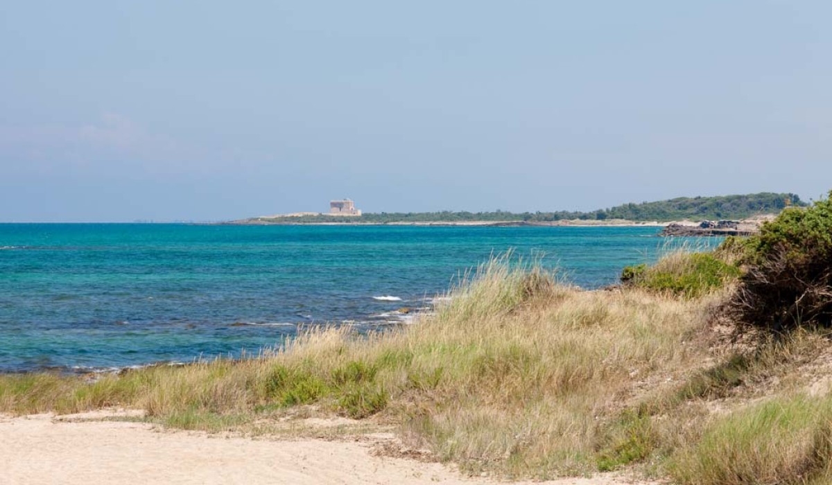 Meditur Village