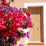 TH Costa Rei Free Beach Resort