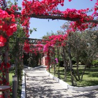 TH Costa Rei Free Beach Resort