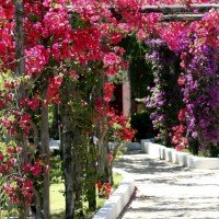 TH Costa Rei Free Beach Resort