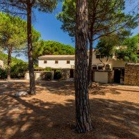 Residence Pineta Uno