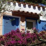 Bungalow Club Village