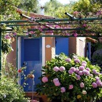 Bungalow Club Village