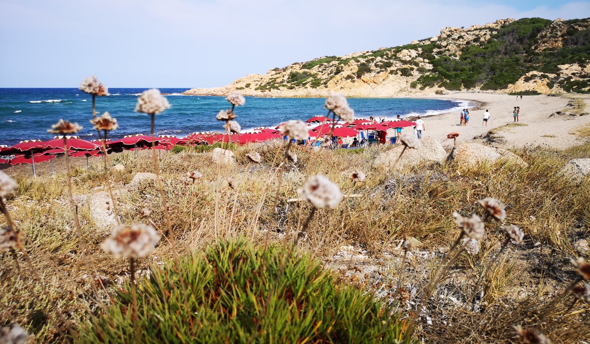 Club Esse Gallura Beach - Immagine 10