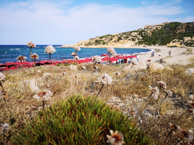 Club Esse Gallura Beach - Immagine 10