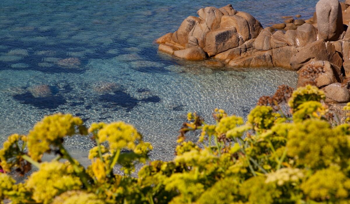 Club Esse Shardana - Shardana-Santa-Teresa-di-Gallura-sea-3