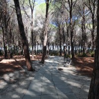 Pizzo Calabro Resort