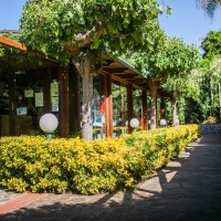 Villa Ridente Club