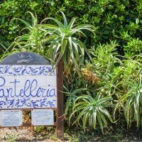 Villa Ridente Club
