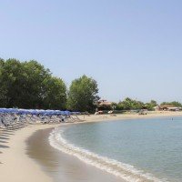 Villaggio Green Garden Club