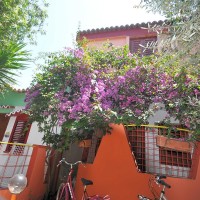 Sayonara Hotel Club Village