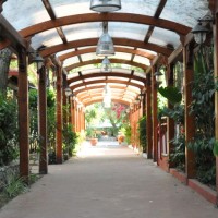 Sayonara Hotel Club Village
