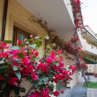 Hotel Cannamele Resort
