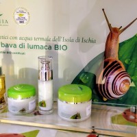Casthotels Bristol Terme