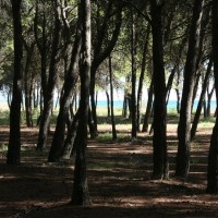 Club Nature Village