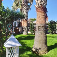 Park Hotel La Villa Resort garden