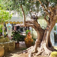 Park Hotel La Villa Resort garden