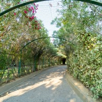 Minerva Club Resort