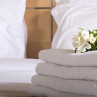 Forever Summer Resort room details