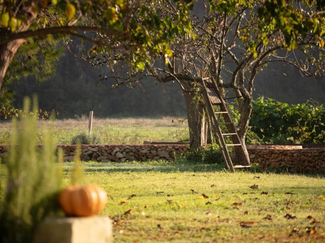 Masseria Mongiò dell'Elefante - Immagine 2