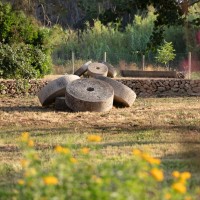 Masseria Mongiò dell'Elefante