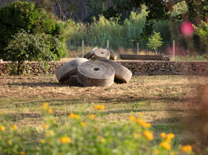 Masseria Mongiò dell'Elefante - Immagine 3