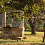 Masseria Mongiò dell'Elefante