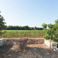 Masseria Mongiò dell'Elefante