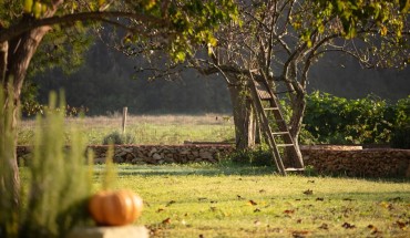 Masseria Mongiò dell'Elefante