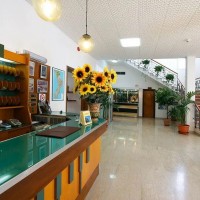 Hotel La Pineta hall details