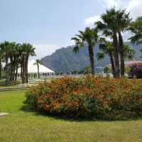 Club Esse Sunbeach gardens