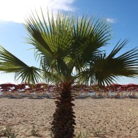 Club Esse Sunbeach beach in concession 4